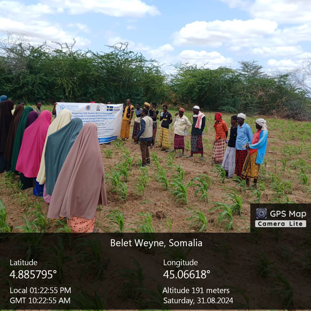 WhatsApp Image 2026 02 25 At 2.09.53 PM 3